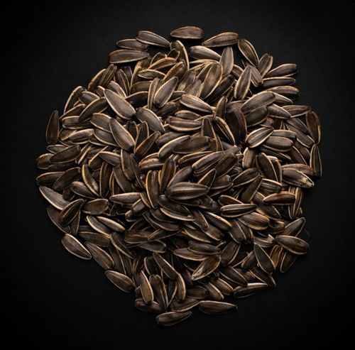 product_01757792847_thumb